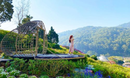 Dự án Novaworld Đà Lạt