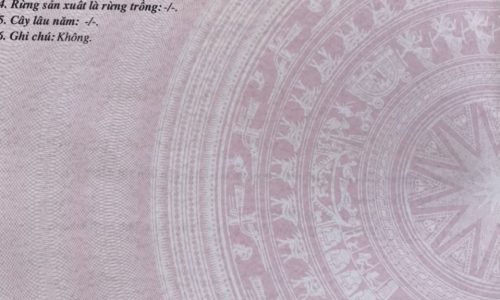 bán lô đất Mỹ Hải mùa dịch covid giá rẻ